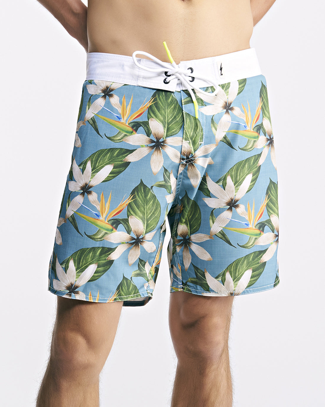BOARDSHORT TURTLE BAY