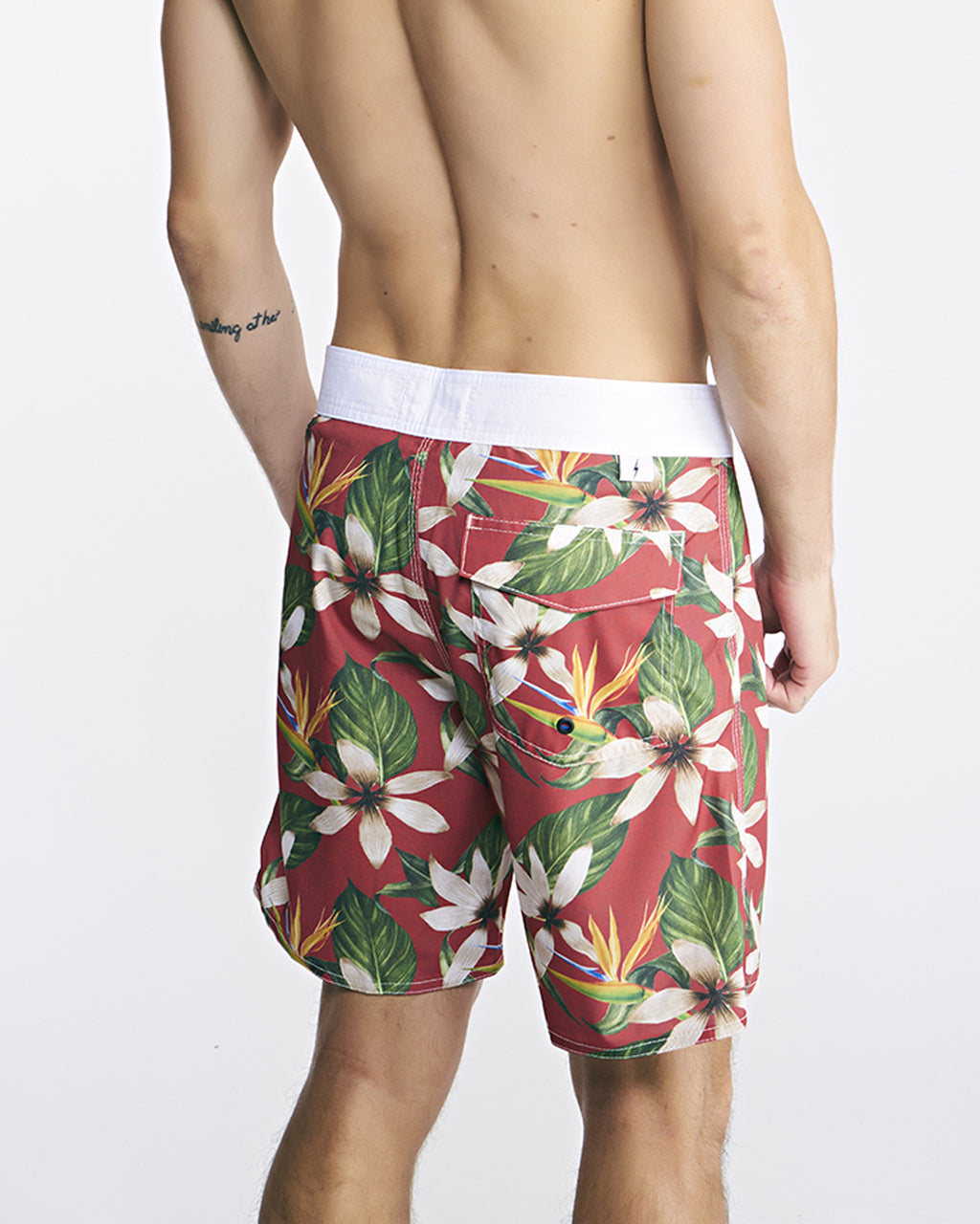 BOARDSHORT TURTLE BAY