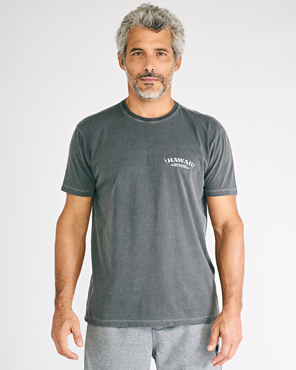 Camiseta Hawaii Lightning Bolt - Cinza