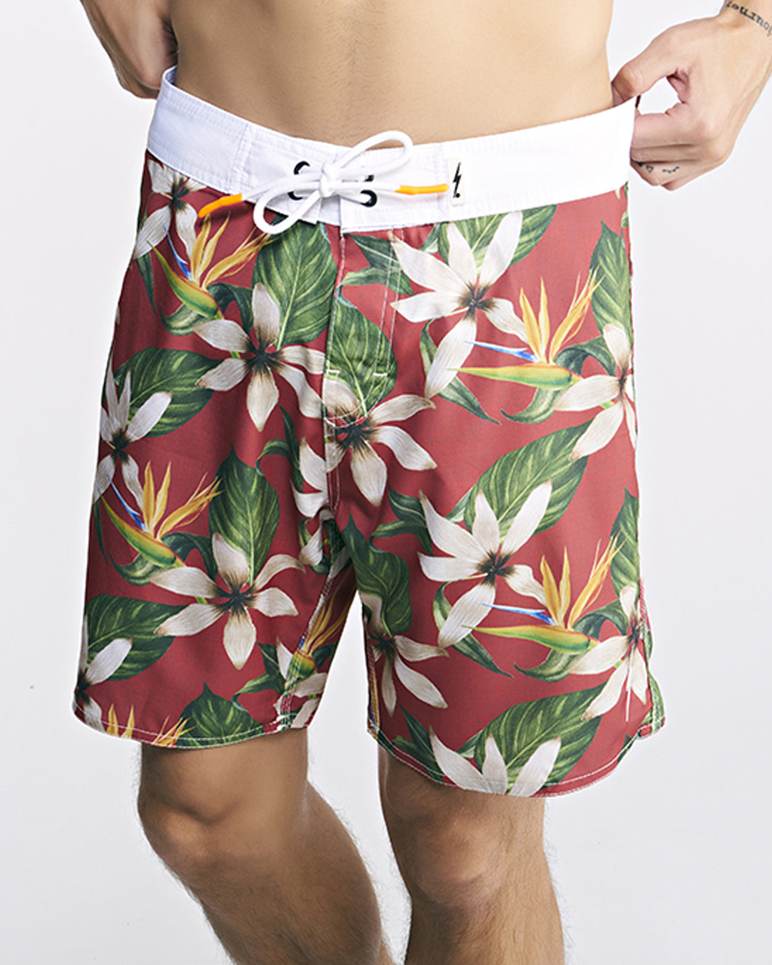 BOARDSHORT TURTLE BAY